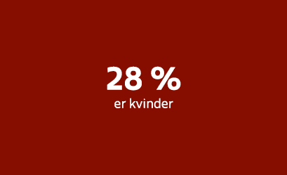28 % er kvinder